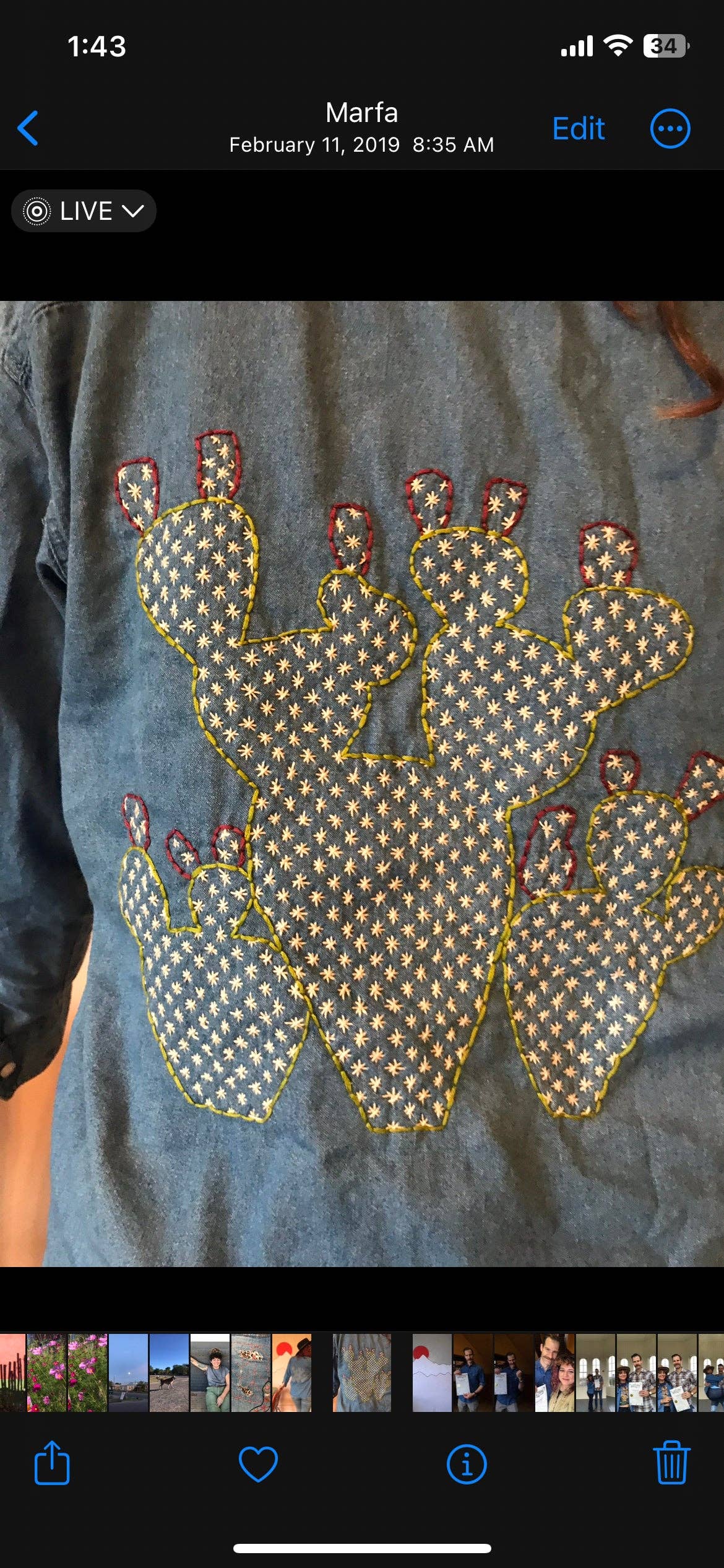 Sashiko Collection: Sashiko Prickly Pear Mending Stick and Stitch Pattern: Medium