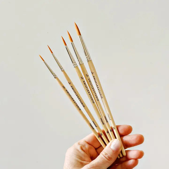 Emily Lex Studio: Paint Brush Set of 5 Brushes Kit