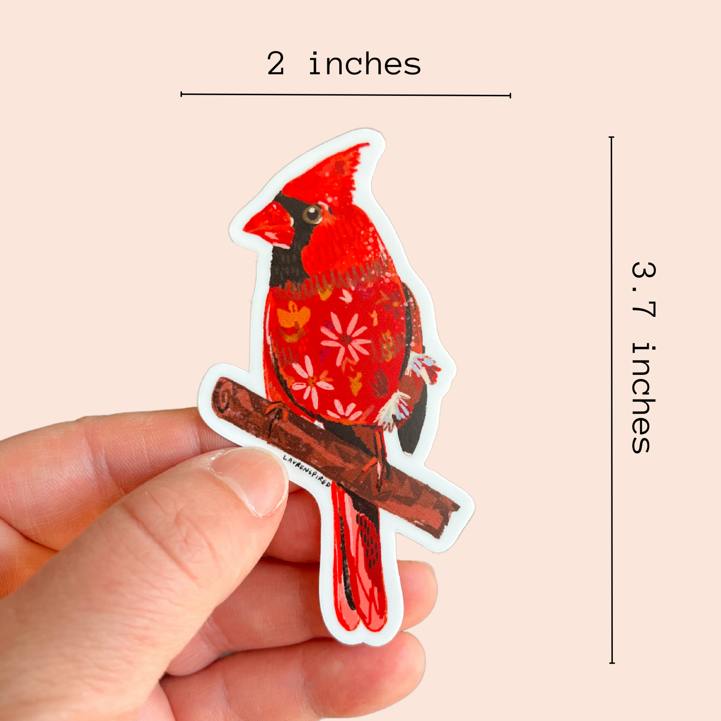 Stickers and Stationery: Red Cardinal Sticker, birding stickers, cardinal - (2"x3.7")