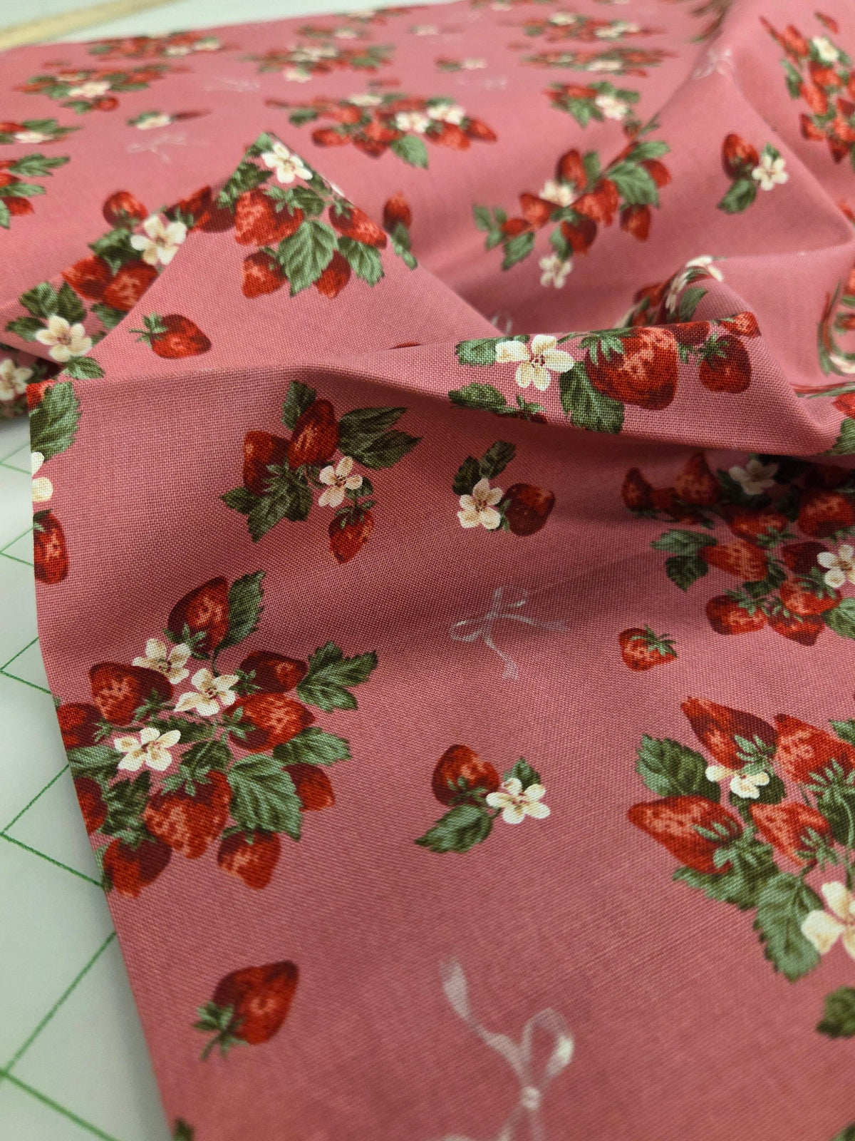 Japan Import: UN/NO Strawberries and Ribbon Oxford Cotton Woven- by the yard