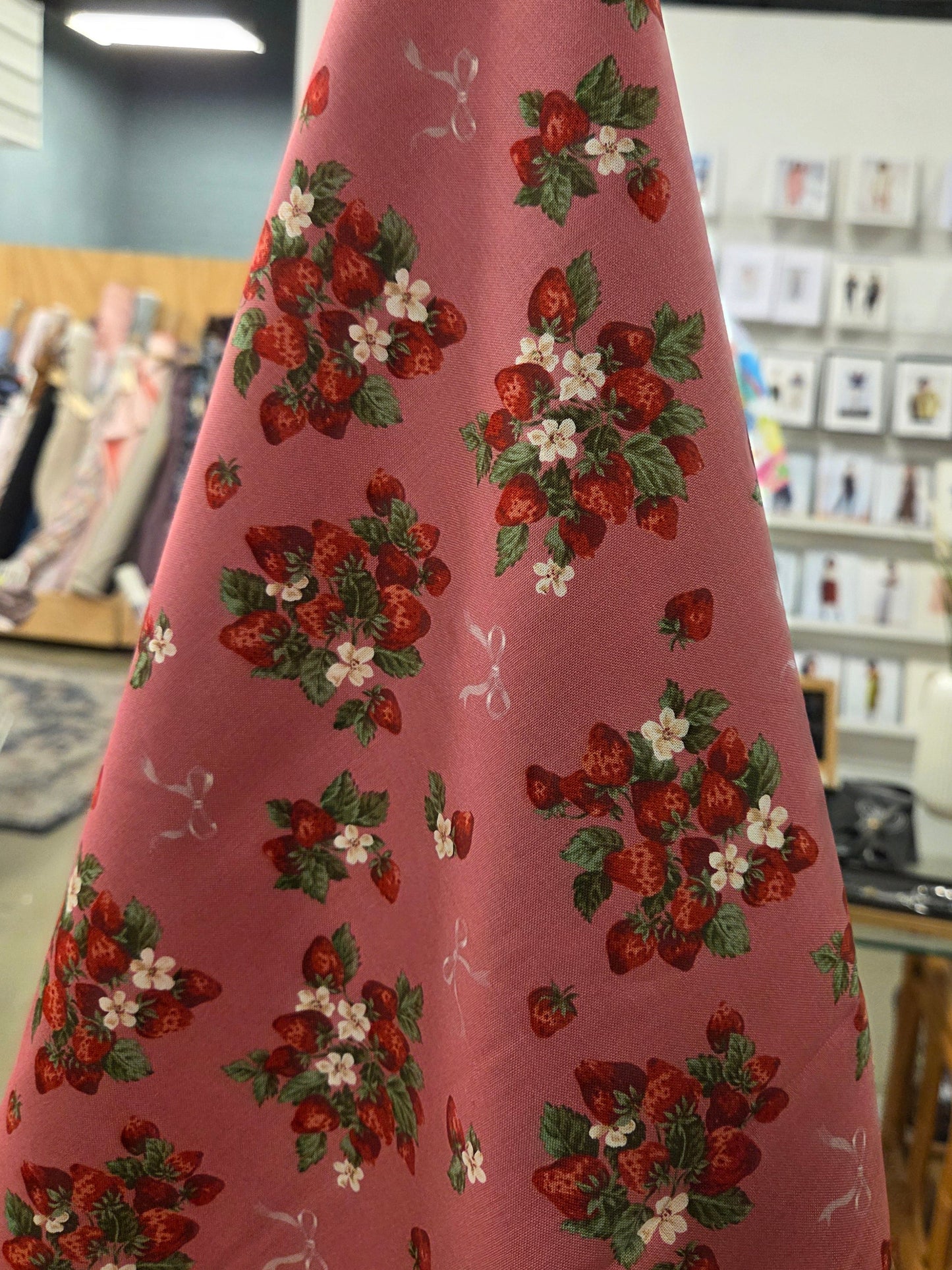 Japan Import: UN/NO Strawberries and Ribbon Oxford Cotton Woven- by the yard