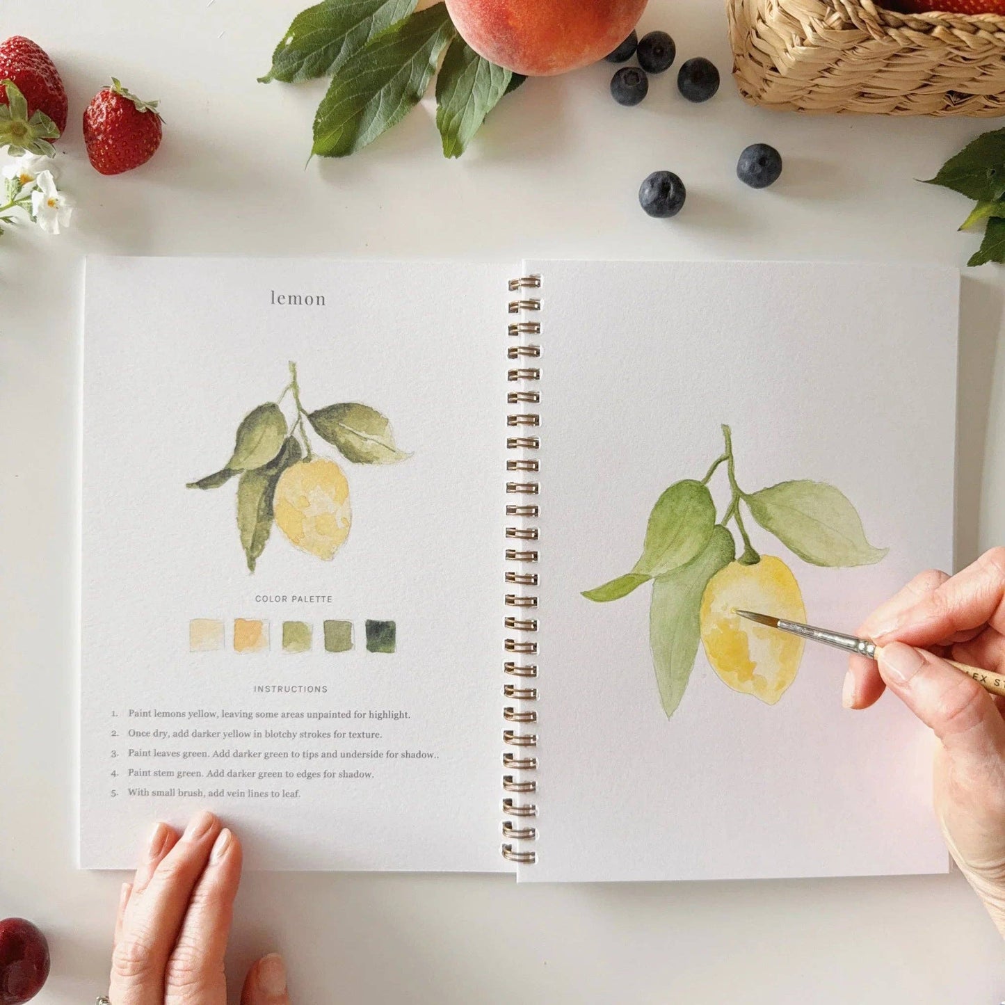 Emily Lex Studio: Fruit watercolor workbook