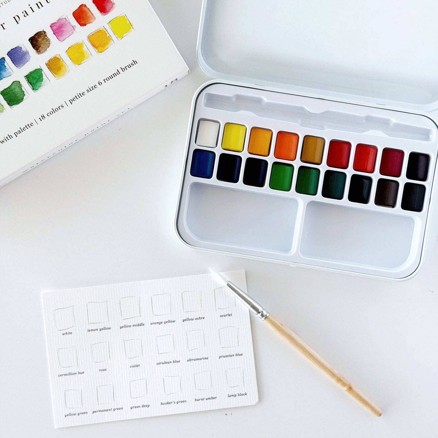 Emily Lex Studio: Watercolor paint set 18 colors with brush-1 Color Box ( Includes size 6 Brush)