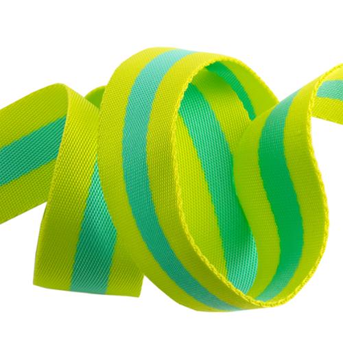 Webbing: Lime and Bright Aqua- 1.5"-Tula Pink - by the yard