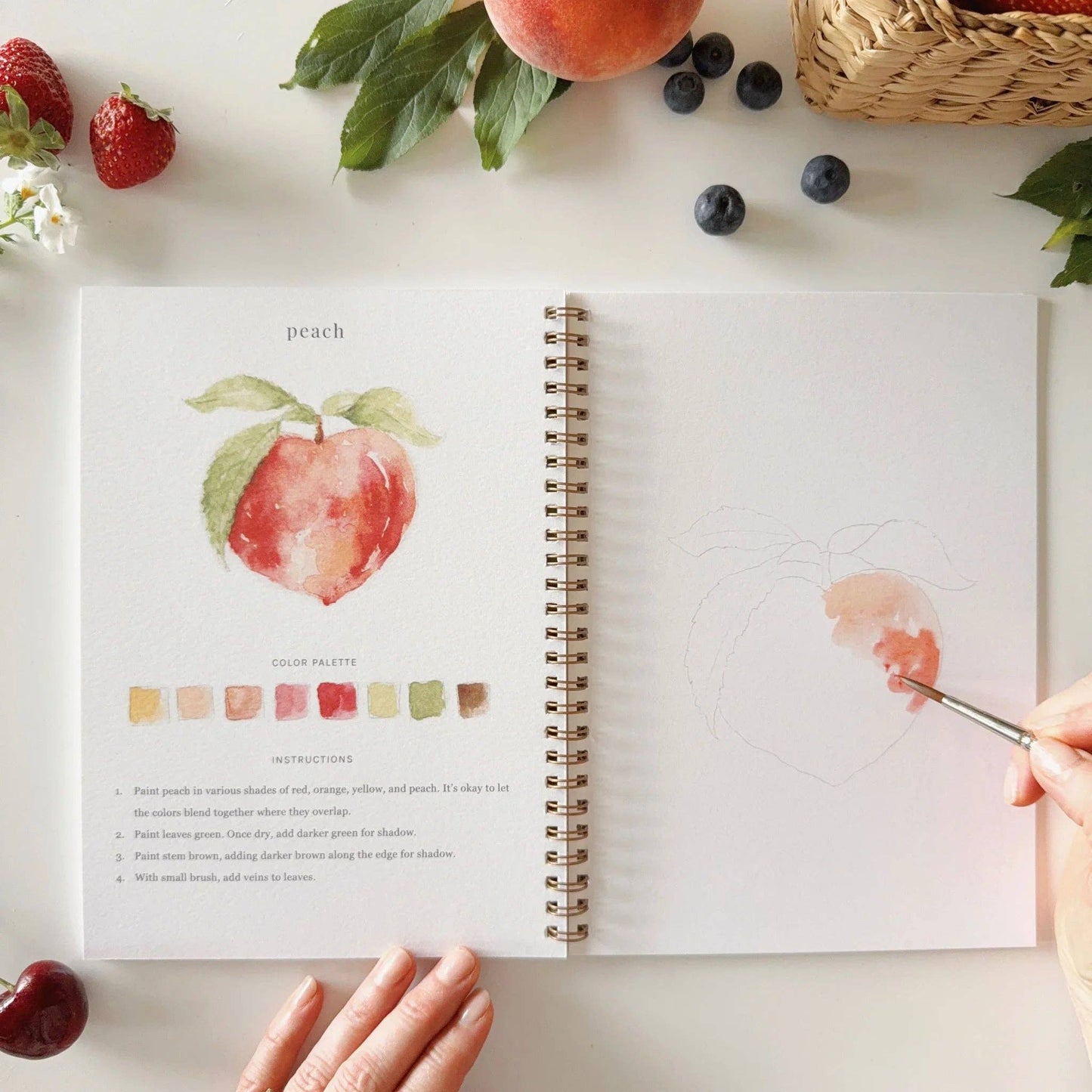 Emily Lex Studio: Fruit watercolor workbook