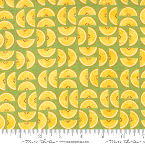 Moda Fabrics: Fruit Loop Kiwi Quilting Cotton Woven- by the half yard