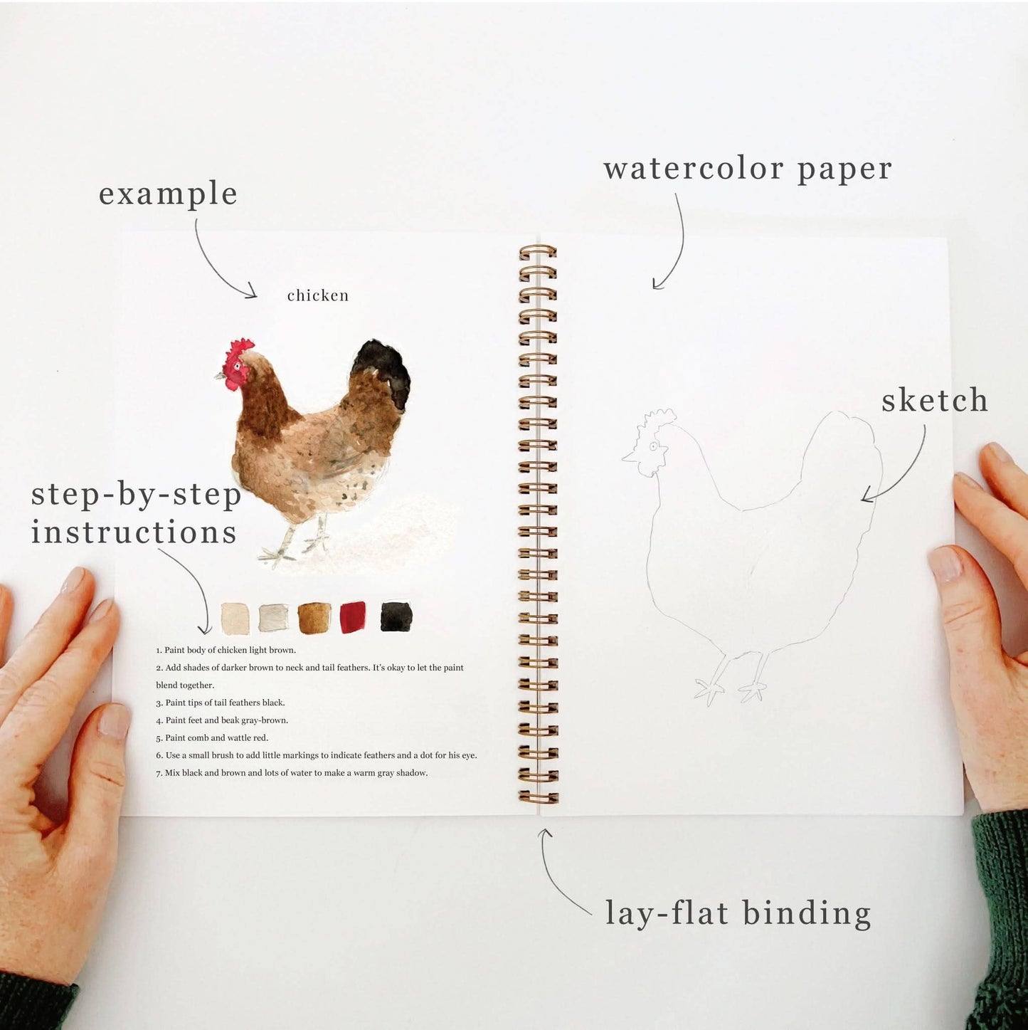 Emily Lex Studio: Animal watercolor workbook