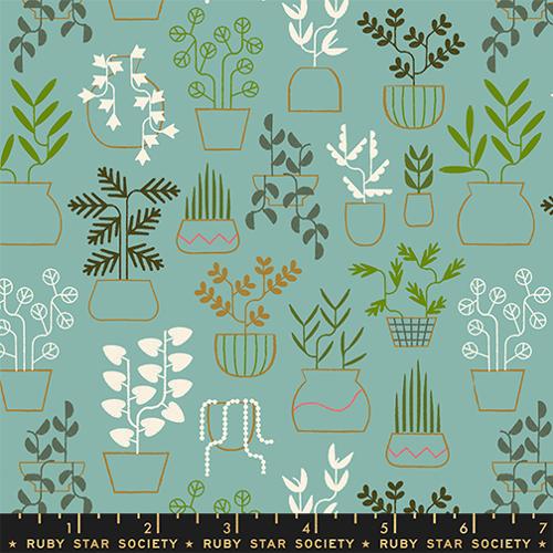 RS5184-14 Calathea plant life
