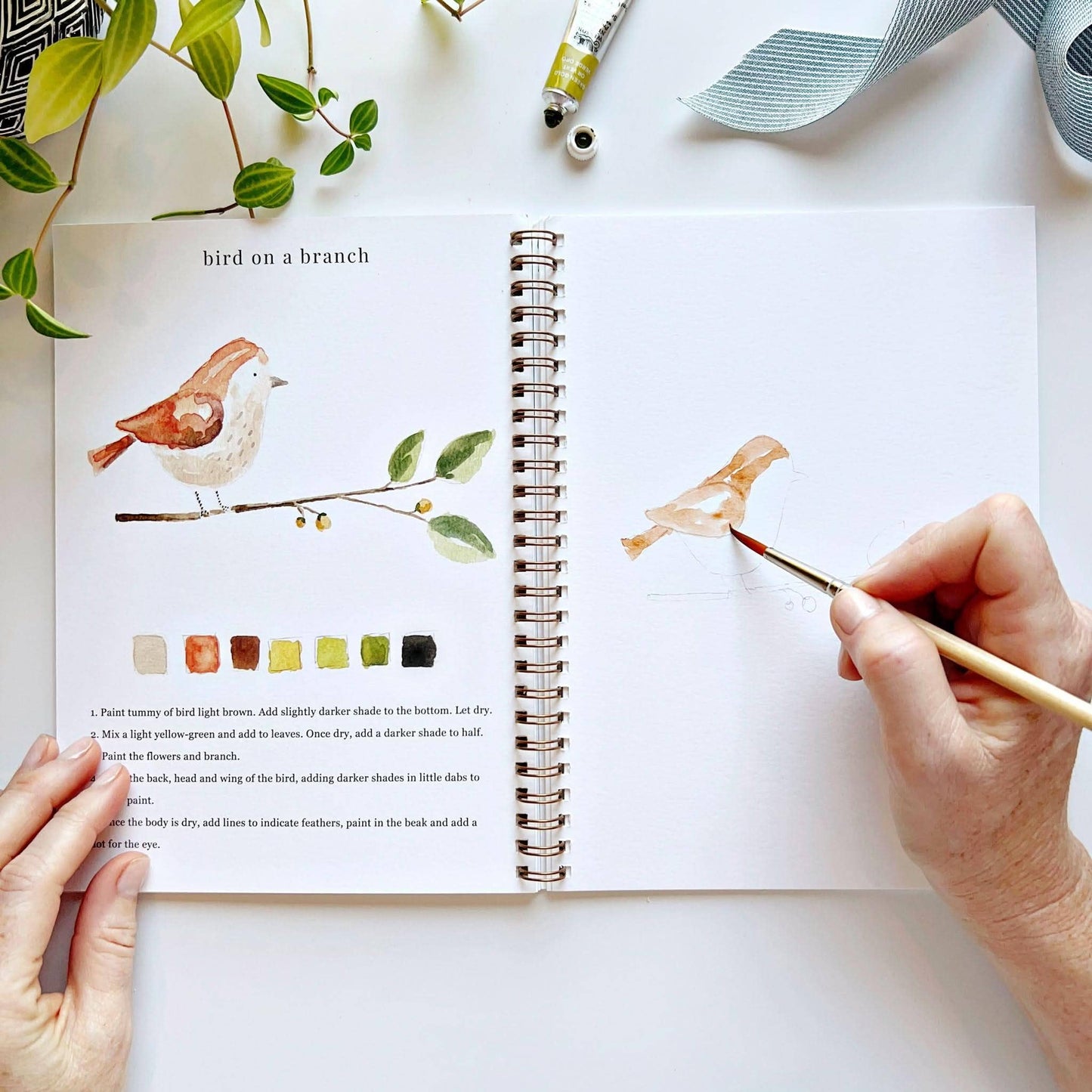Emily Lex Studio: Animal watercolor workbook
