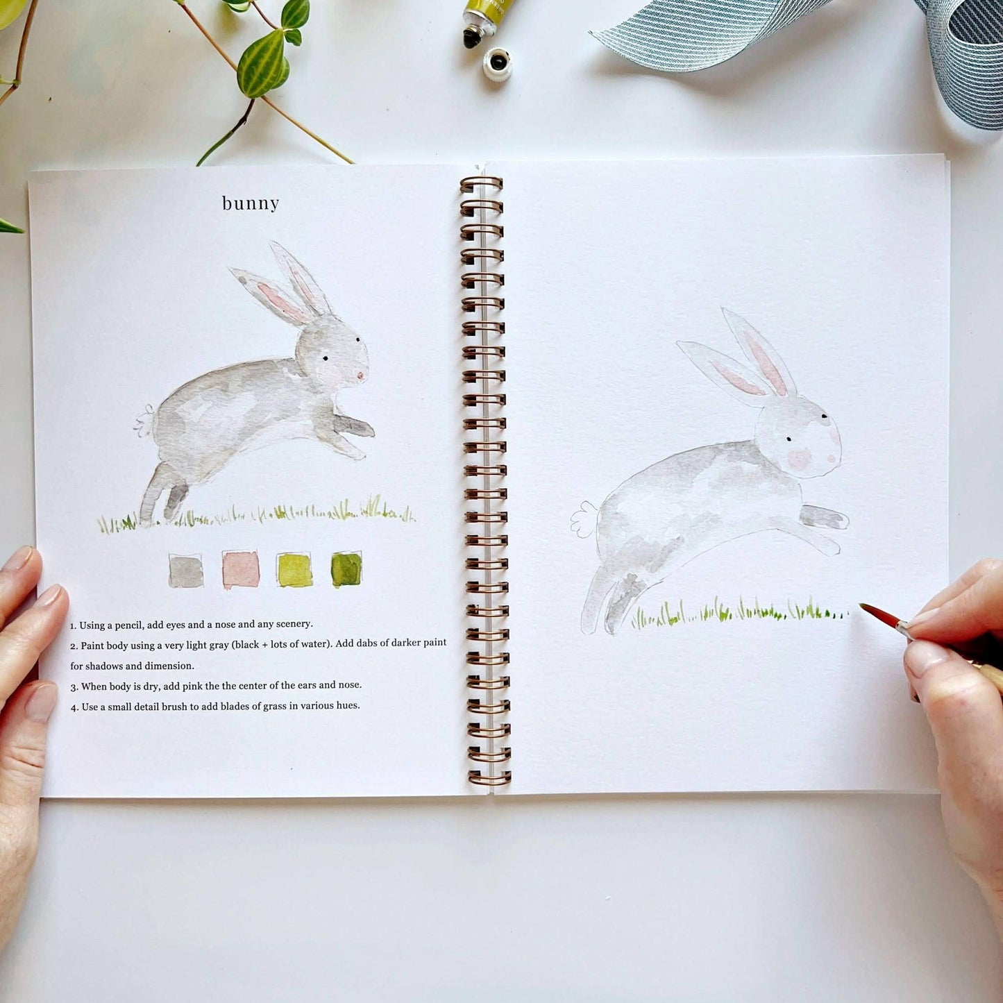 Emily Lex Studio: Animal watercolor workbook
