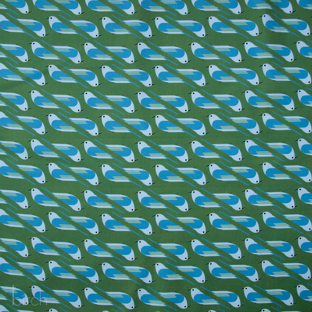 Organic Premium Cotton Bluebird Poplin Woven by Birch Fabrics- by the half yard