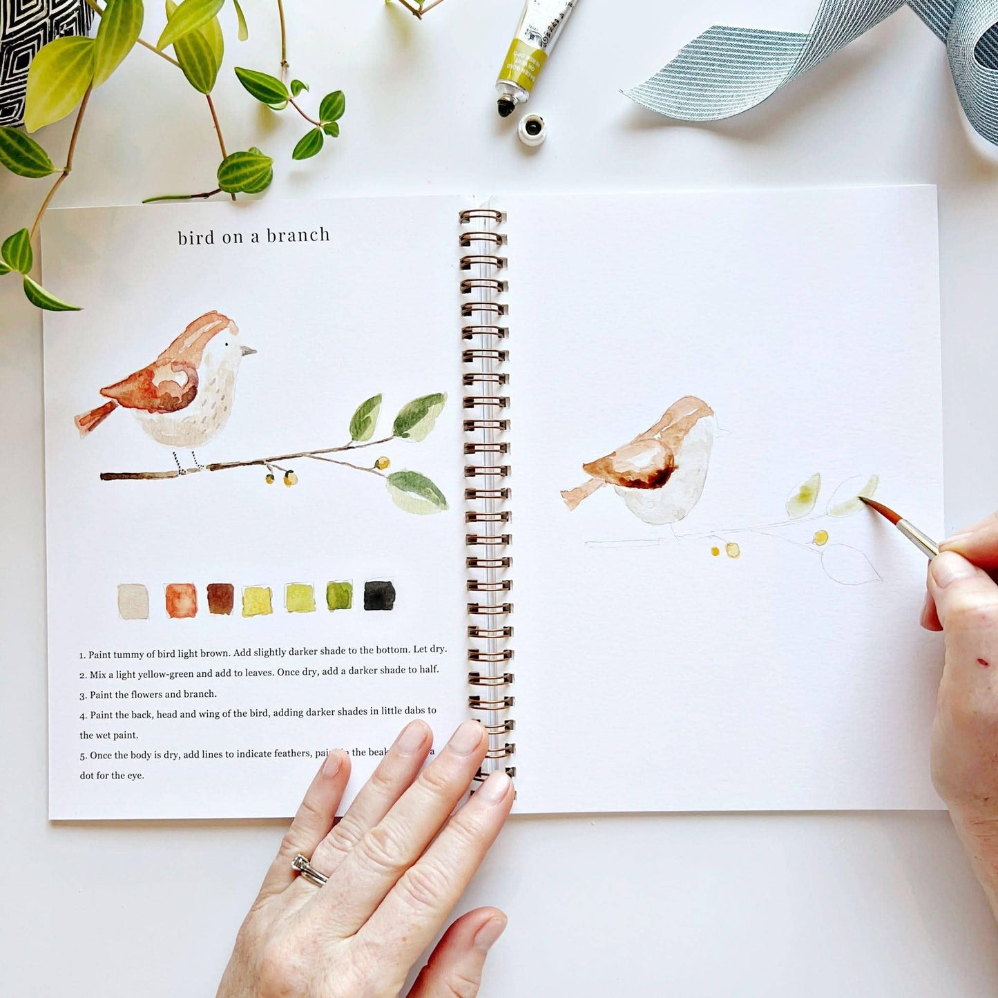 Emily Lex Studio: Animal watercolor workbook