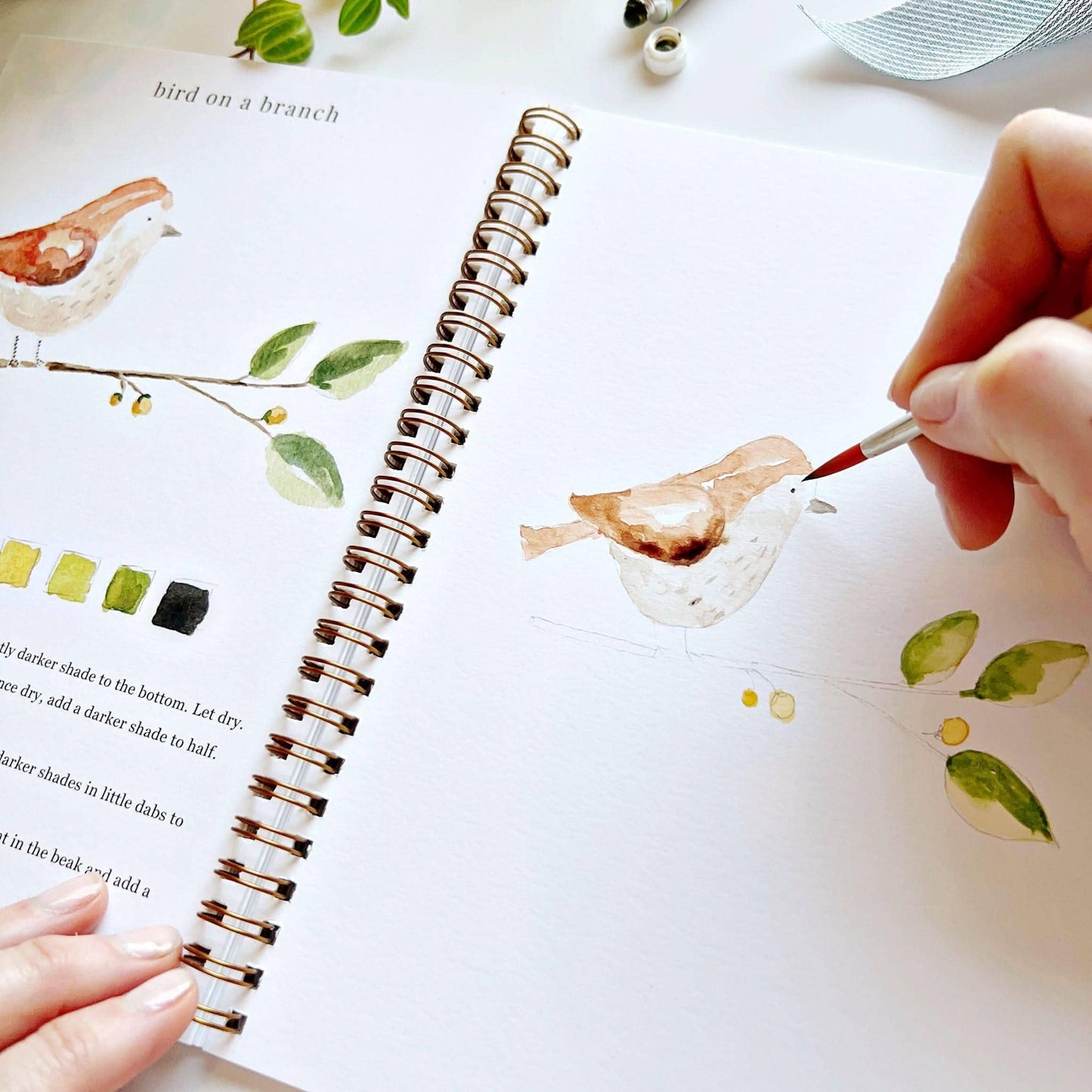 Emily Lex Studio: Animal watercolor workbook