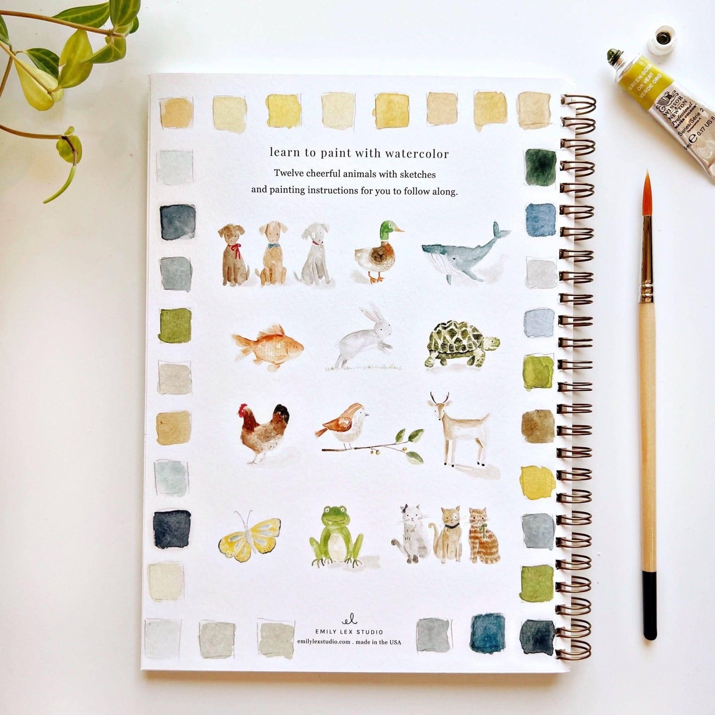 Emily Lex Studio: Animal watercolor workbook