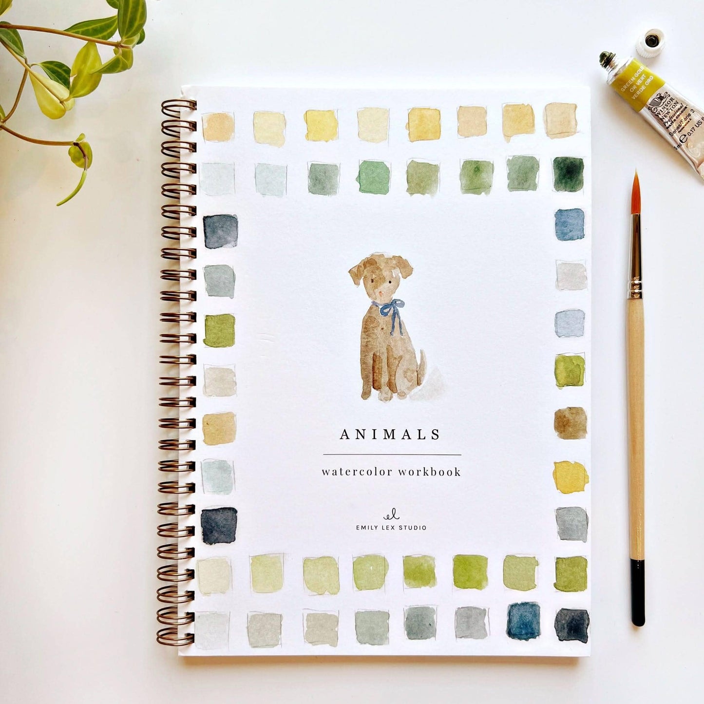 Emily Lex Studio: Animal watercolor workbook