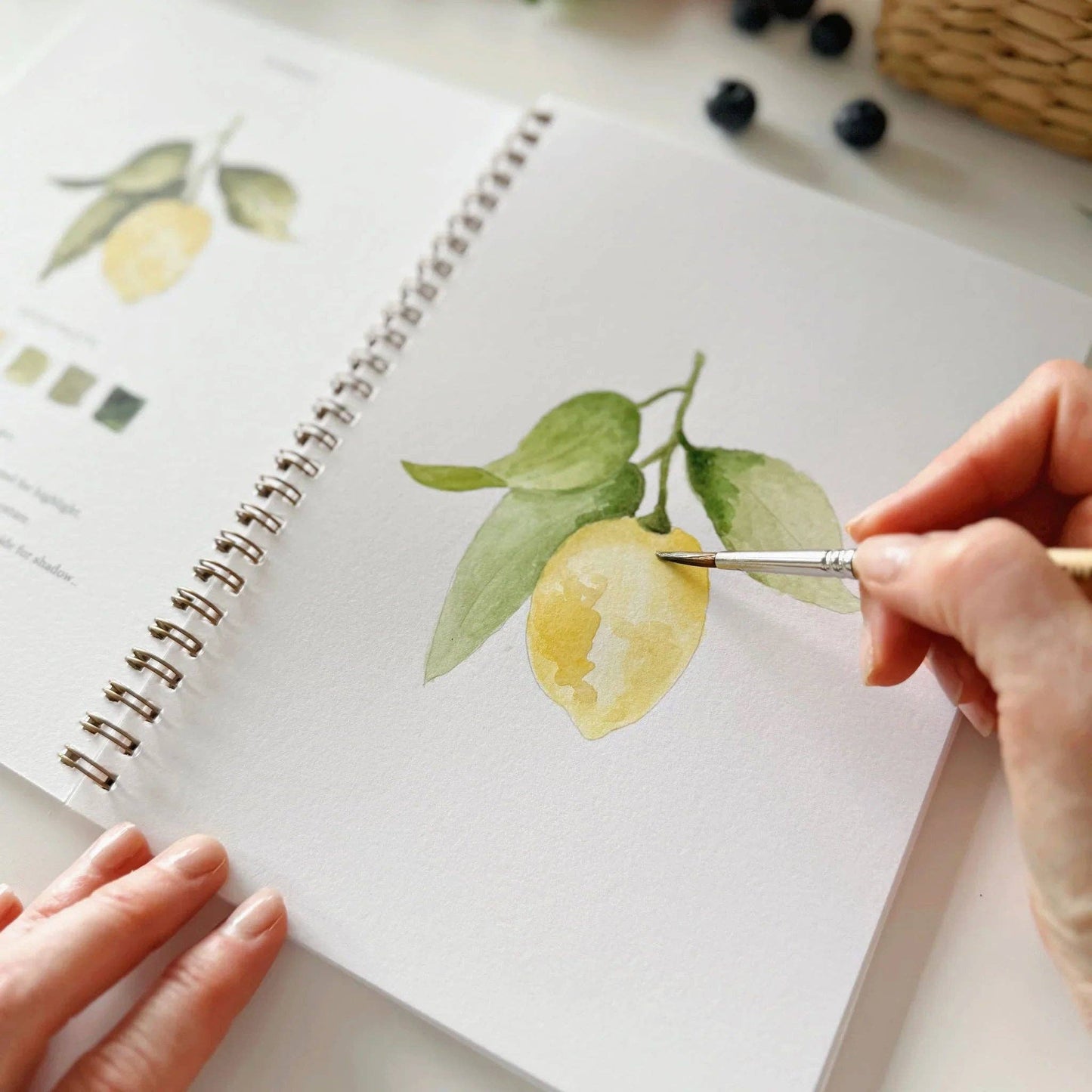 Emily Lex Studio: Fruit watercolor workbook