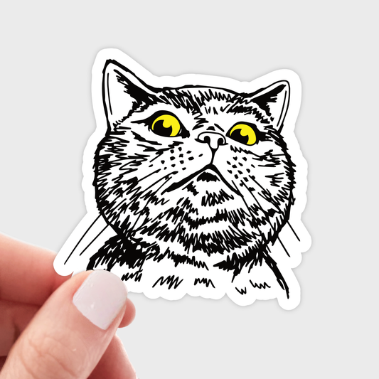Stickers and Stationary: Judgy Yellow Eyes Cat Sticker